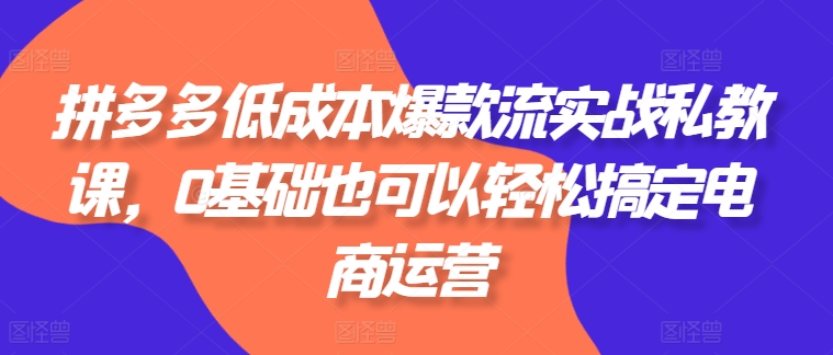 拼多多低成本爆款流实战私教课，0基础也可以轻松搞定电商运营网赚项目-副业赚钱-互联网创业-资源整合华本网创