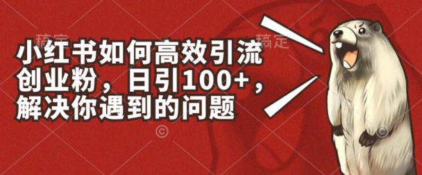 小红书如何高效引流创业粉，日引100+，解决你遇到的问题网赚项目-副业赚钱-互联网创业-资源整合华本网创