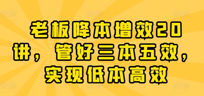 老板降本增效20讲，管好三本五效，实现低本高效网赚项目-副业赚钱-互联网创业-资源整合华本网创