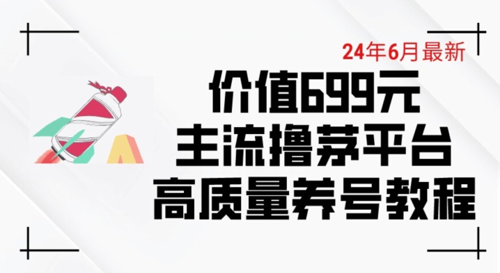 6月最新价值699的主流撸茅台平台精品养号下车攻略网赚项目-副业赚钱-互联网创业-资源整合华本网创