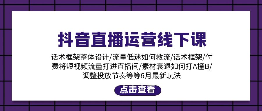 （11211期）抖音直播运营线下课：话术框架/付费流量直播间/素材A撞B/等6月新玩法网赚项目-副业赚钱-互联网创业-资源整合华本网创