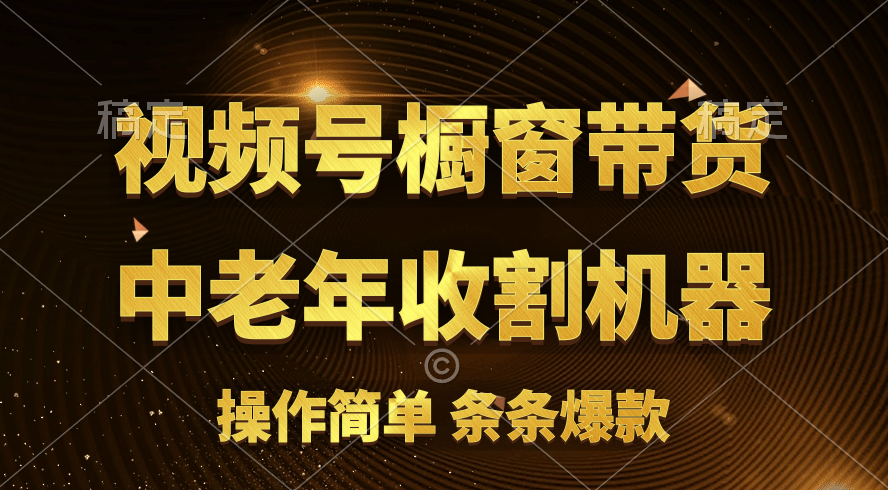 （11009期）视频号最火爆赛道，橱窗带货，流量分成计划，条…网赚项目-副业赚钱-互联网创业-资源整合华本网创