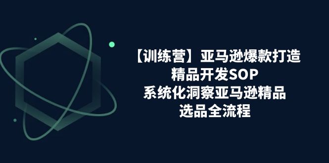 亚马逊爆款打造之精品开发SOP【训练营】，系统化洞察亚马逊精品选品全流程网赚项目-副业赚钱-互联网创业-资源整合华本网创