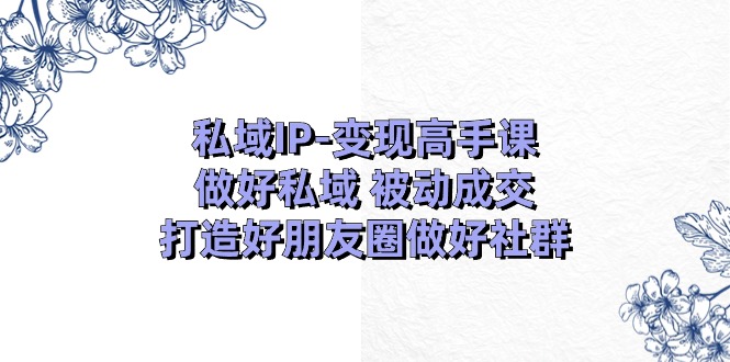 私域IP变现高手课：做好私域被动成交，打造好朋友圈做好社群（18节）网赚项目-副业赚钱-互联网创业-资源整合华本网创