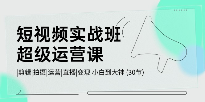 短视频实战班超级运营课 |剪辑|拍摄|运营|直播|变现 小白到大神 (30节)网赚项目-副业赚钱-互联网创业-资源整合华本网创