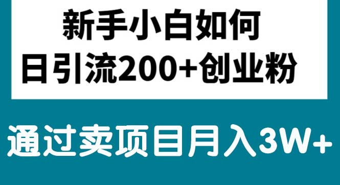 （10843期）新手小白日引流200+创业粉,通过卖项目月入3W+网赚项目-副业赚钱-互联网创业-资源整合华本网创