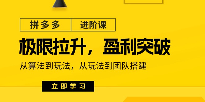 拼多多进阶课：极限拉升/盈利突破：从算法到玩法 从玩法到团队搭建（18节）网赚项目-副业赚钱-互联网创业-资源整合华本网创