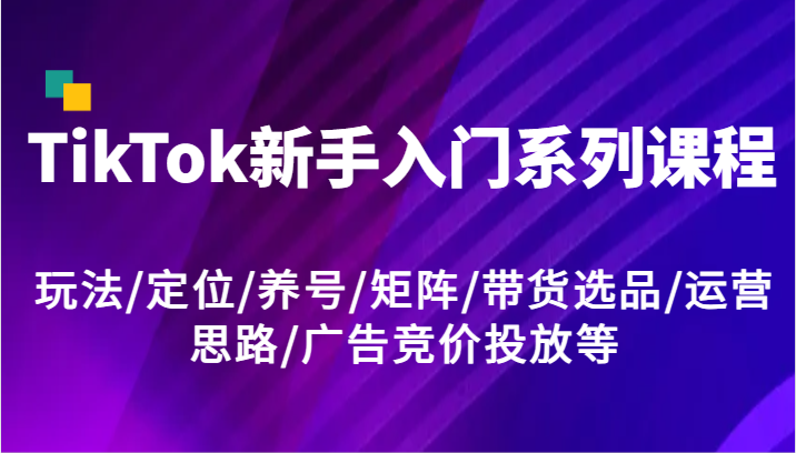 TikTok新手入门系列课程，玩法/定位/养号/矩阵/带货选品/运营思路/广告竞价投放等网赚项目-副业赚钱-互联网创业-资源整合华本网创