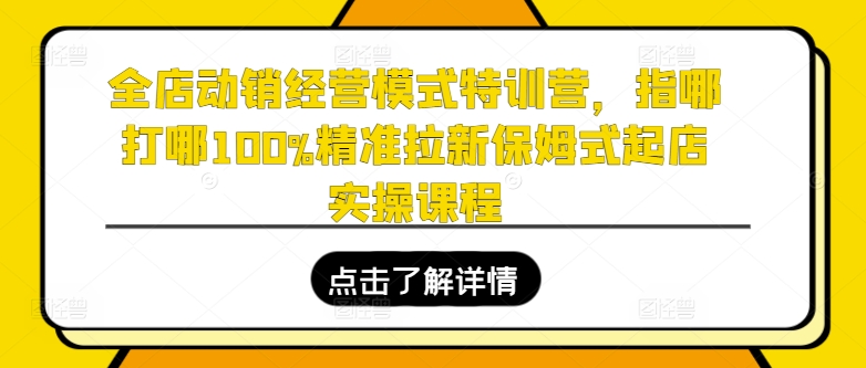 全店动销经营模式特训营，指哪打哪100%精准拉新保姆式起店实操课程网赚项目-副业赚钱-互联网创业-资源整合华本网创