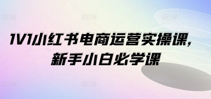 1V1小红书电商运营实操课，新手小白必学课网赚项目-副业赚钱-互联网创业-资源整合华本网创