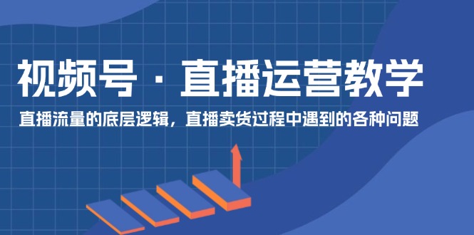 （11687期）视频号 直播运营教学：直播流量的底层逻辑，直播卖货过程中遇到的各种问题网赚项目-副业赚钱-互联网创业-资源整合华本网创