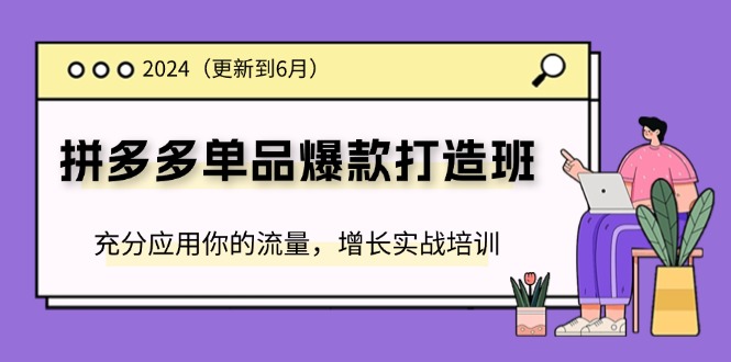 （11556期）2024拼多多-单品爆款打造班(更新6月)，充分应用你的流量，增长实战培训网赚项目-副业赚钱-互联网创业-资源整合华本网创