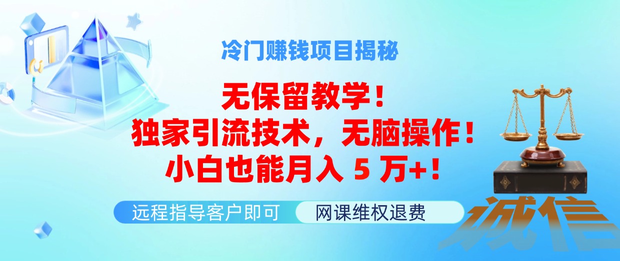 （11864期）冷门赚钱项目无保留教学！独家引流技术，无脑操作！小白也能月入5万+！网赚项目-副业赚钱-互联网创业-资源整合华本网创