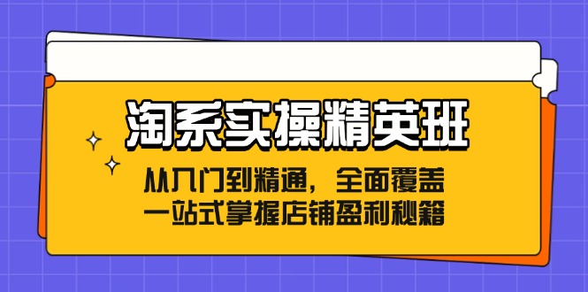 淘系实操精英班：从入门到精通，全面覆盖，一站式掌握店铺盈利秘籍网赚项目-副业赚钱-互联网创业-资源整合华本网创