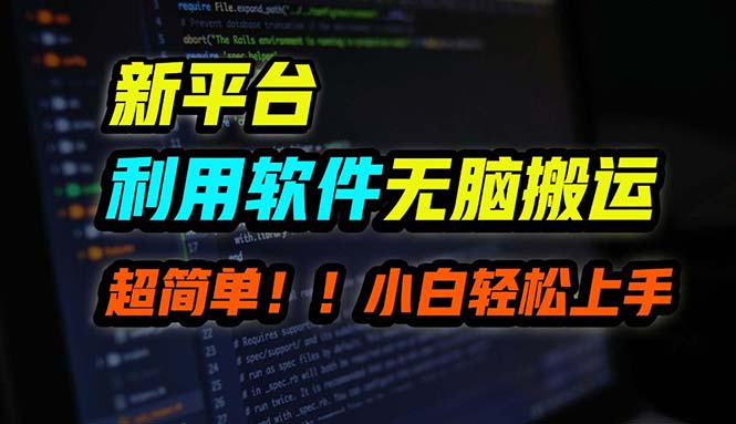 （12203期）新平台用软件无脑搬运，月赚10000+，小白也能轻松上手网赚项目-副业赚钱-互联网创业-资源整合华本网创