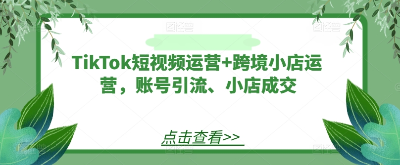 TikTok短视频运营+跨境小店运营，账号引流、小店成交网赚项目-副业赚钱-互联网创业-资源整合华本网创