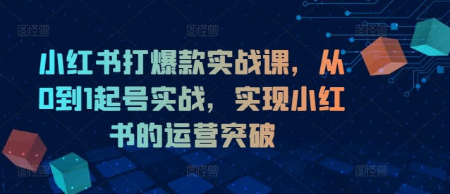 小红书打爆款实战课，从0到1起号实战，实现小红书的运营突破网赚项目-副业赚钱-互联网创业-资源整合华本网创