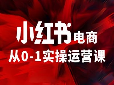 小红书电商从0-1实操运营课，让你从小白到精英网赚项目-副业赚钱-互联网创业-资源整合华本网创