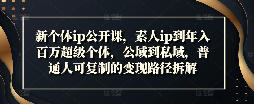 新个体ip公开课，素人ip到年入百万超级个体，公域到私域，普通人可复制的变现路径拆解网赚项目-副业赚钱-互联网创业-资源整合华本网创