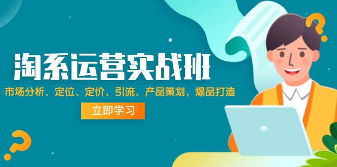 （12186期）淘系运营实战班：市场分析、定位、定价、引流、产品策划，爆品打造网赚项目-副业赚钱-互联网创业-资源整合华本网创