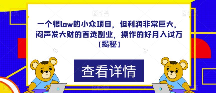 一个很low的小众项目，但利润非常巨大，闷声发大财的首选副业，操作的好月入过万【揭秘】网赚项目-副业赚钱-互联网创业-资源整合华本网创