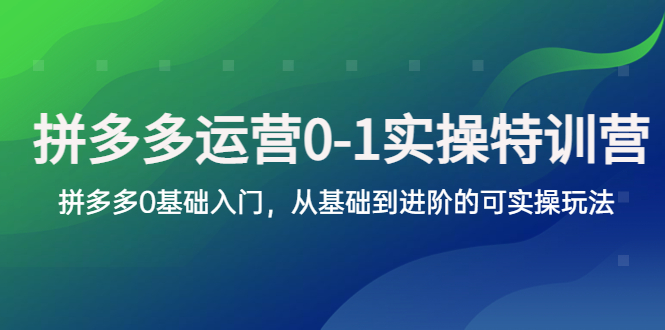 （5747期）拼多多-运营0-1实操训练营，拼多多0基础入门，从基础到进阶的可实操玩法网赚项目-副业赚钱-互联网创业-资源整合华本网创