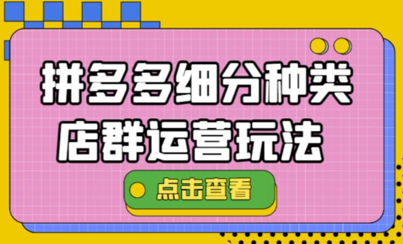 （4373期）拼多多细分种类店群运营玩法3.0，11月最新玩法，小白也可以操作网赚项目-副业赚钱-互联网创业-资源整合华本网创