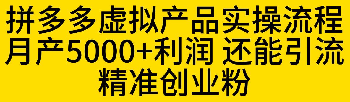 拼多多虚拟产品实操流程，月产5000+利润，还能引流精准创业粉【揭秘】网赚项目-副业赚钱-互联网创业-资源整合华本网创