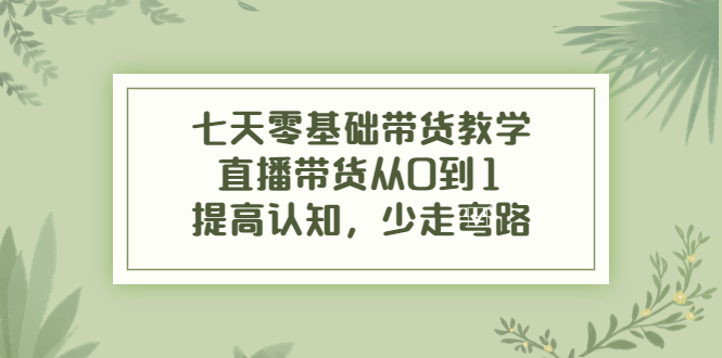 七天零基础带货教学，直播带货从0到1，提高认知，少走弯路网赚项目-副业赚钱-互联网创业-资源整合华本网创