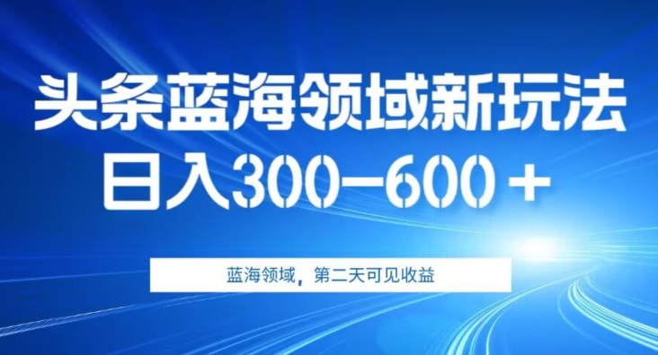 AI头条野路子蓝海领域新玩法2.0，日入300-600＋，附保姆级教程【揭秘】网赚项目-副业赚钱-互联网创业-资源整合华本网创