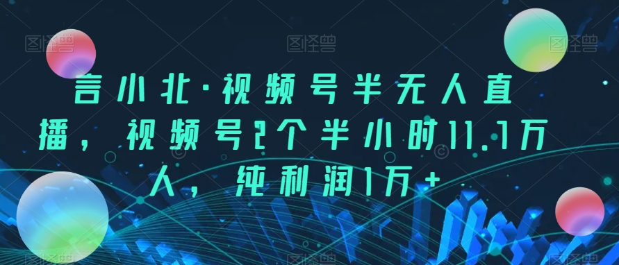 言小北·视频号半无人直播，视频号2个半小时11.7万人，纯利润1万+网赚项目-副业赚钱-互联网创业-资源整合华本网创