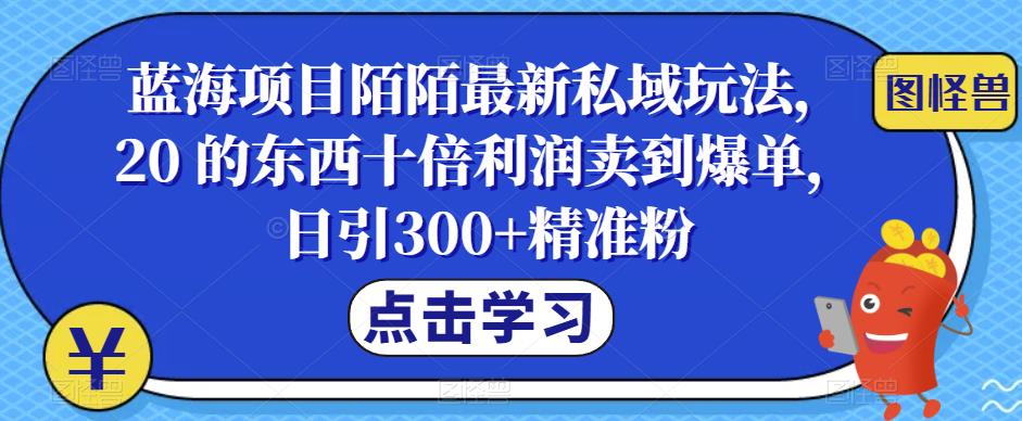 蓝海项目陌陌最新私域玩法，20 的东西十倍利润卖到爆单，日引300+精准粉【揭秘】网赚项目-副业赚钱-互联网创业-资源整合华本网创