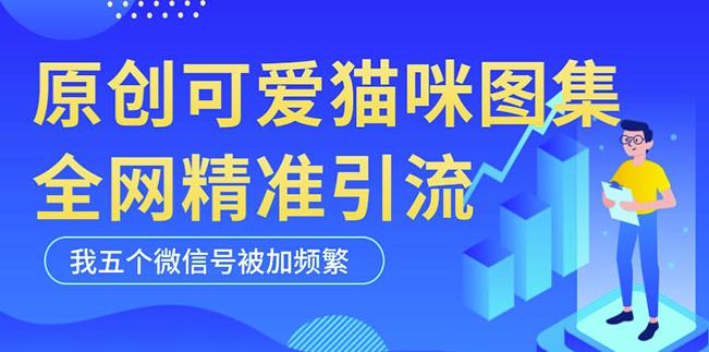 黑科技纯原创可爱猫咪图片，全网精准引流，实操5个VX号被加频繁网赚项目-副业赚钱-互联网创业-资源整合华本网创