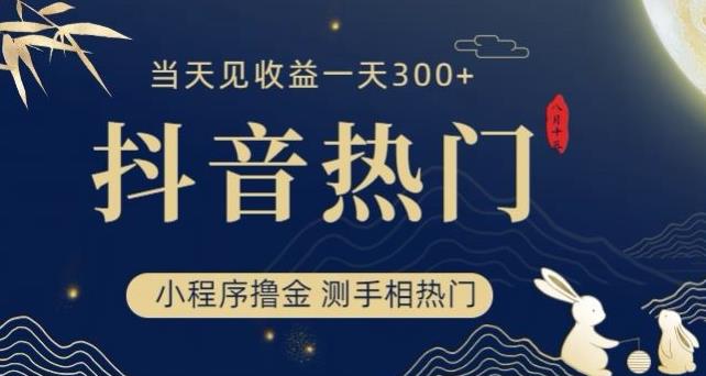 抖音最新小程序撸金，测手相上热门，当天见收益一小时变现300+【揭秘】网赚项目-副业赚钱-互联网创业-资源整合华本网创