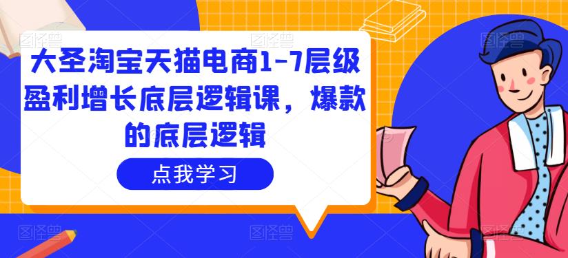 大圣淘宝天猫电商1-7层级盈利增长底层逻辑课，爆款的底层逻辑网赚项目-副业赚钱-互联网创业-资源整合华本网创