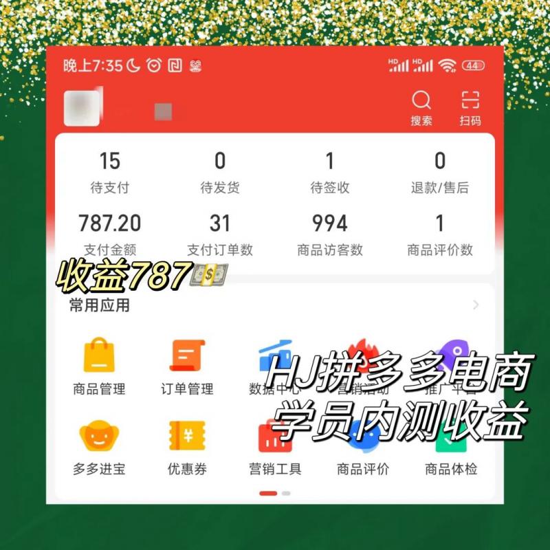 2023拼多多电商项目，稳定一天300～3000+，门槛低，出单快，一部手机即可完成