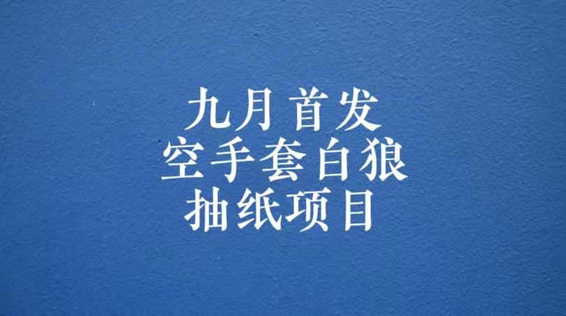 0成本，日入100-500空手套白狼抽纸项目，保姆级教学网赚项目-副业赚钱-互联网创业-资源整合华本网创