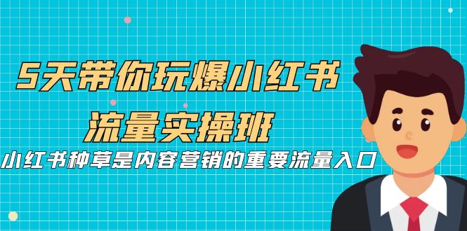 5天带你玩爆小红书流量实操班，小红书种草是内容营销的重要流量入口网赚项目-副业赚钱-互联网创业-资源整合华本网创