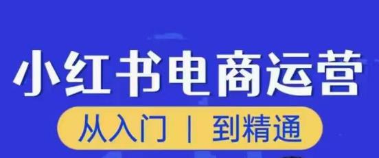 顽石小红书电商高阶运营课程，从入门到精通，玩法流程持续更新网赚项目-副业赚钱-互联网创业-资源整合华本网创