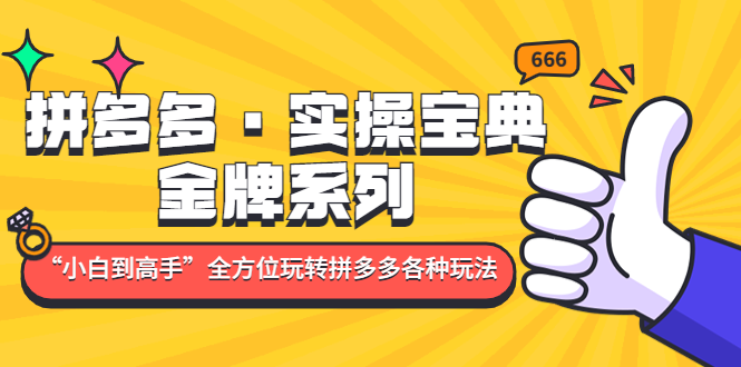 （4934期）拼多多·实操宝典：金牌系列“小白到高手”带你全方位玩转拼多多各种玩法网赚项目-副业赚钱-互联网创业-资源整合华本网创