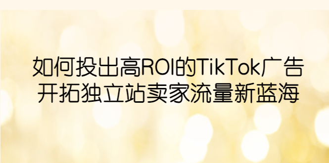 （6102期）如何投出高ROI·TikTok广告，开拓独立站卖家流量新蓝海网赚项目-副业赚钱-互联网创业-资源整合华本网创