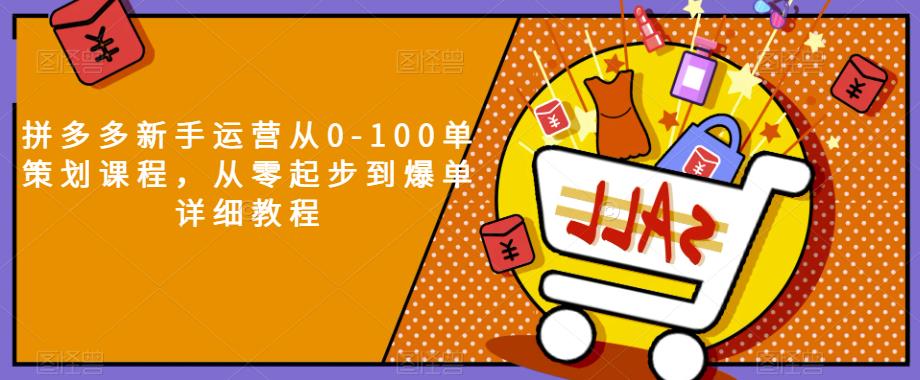 拼多多新手运营从0-100单策划课程，从零起步到爆单详细教程网赚项目-副业赚钱-互联网创业-资源整合华本网创