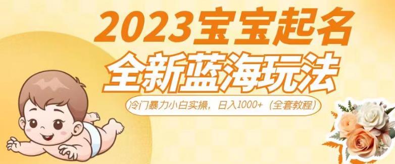 2023宝宝起名全新蓝海玩法，冷门暴力小白实操，日入1000+（全套教程）【揭秘】网赚项目-副业赚钱-互联网创业-资源整合华本网创