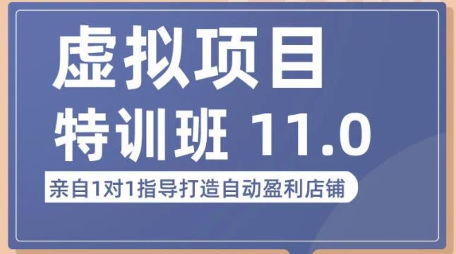 陆明明·虚拟项目特训班（10.0+11.0），0成本获取虚拟素材，0基础打造自动盈利店铺网赚项目-副业赚钱-互联网创业-资源整合华本网创