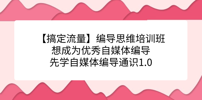 【搞定流量】编导思维培训班，想成为优秀自媒体编导先学自媒体编导通识1.0网赚项目-副业赚钱-互联网创业-资源整合华本网创