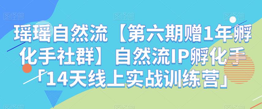 瑶瑶自然流【第六期赠1年孵化手社群】自然流IP孵化手「14天线上实战训练营」网赚项目-副业赚钱-互联网创业-资源整合华本网创