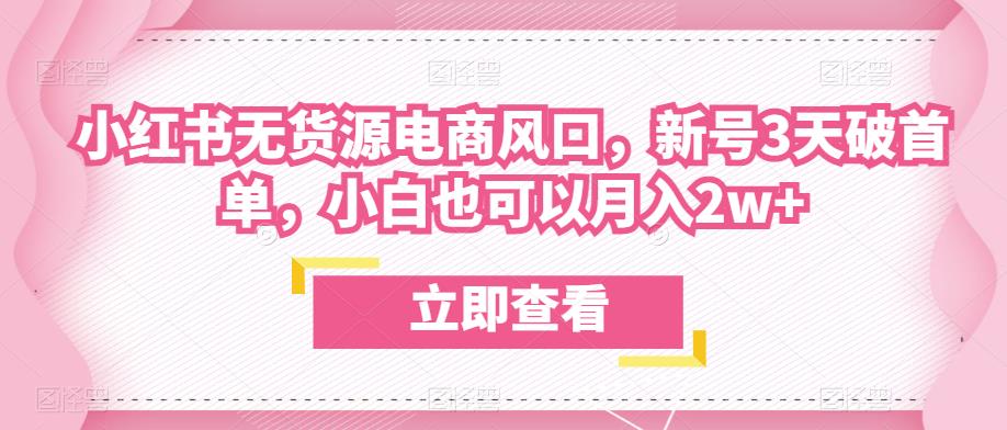 众狼电商余文小红书无货源电商风口，新号3天破首单，小白也可以月入2w+网赚项目-副业赚钱-互联网创业-资源整合华本网创