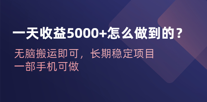 （6435期）一天收益5000+怎么做到的？无脑搬运即可，长期稳定项目，一部手机可做网赚项目-副业赚钱-互联网创业-资源整合华本网创