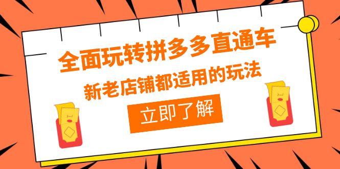 （6294期）全面玩转拼多多直通车，新老店铺都适用的玩法（12节精华课）网赚项目-副业赚钱-互联网创业-资源整合华本网创