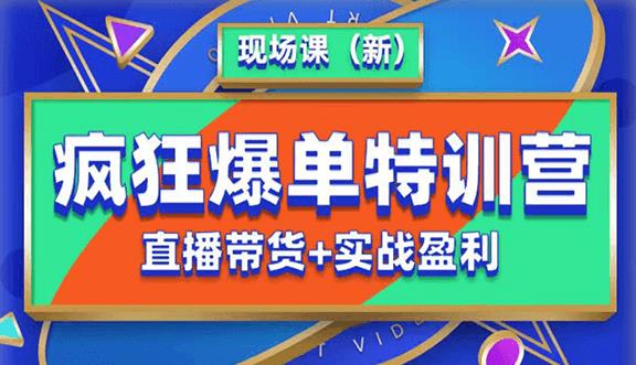 抖音短视频疯狂爆单特训营现场课（新）直播带货+实战案例网赚项目-副业赚钱-互联网创业-资源整合华本网创